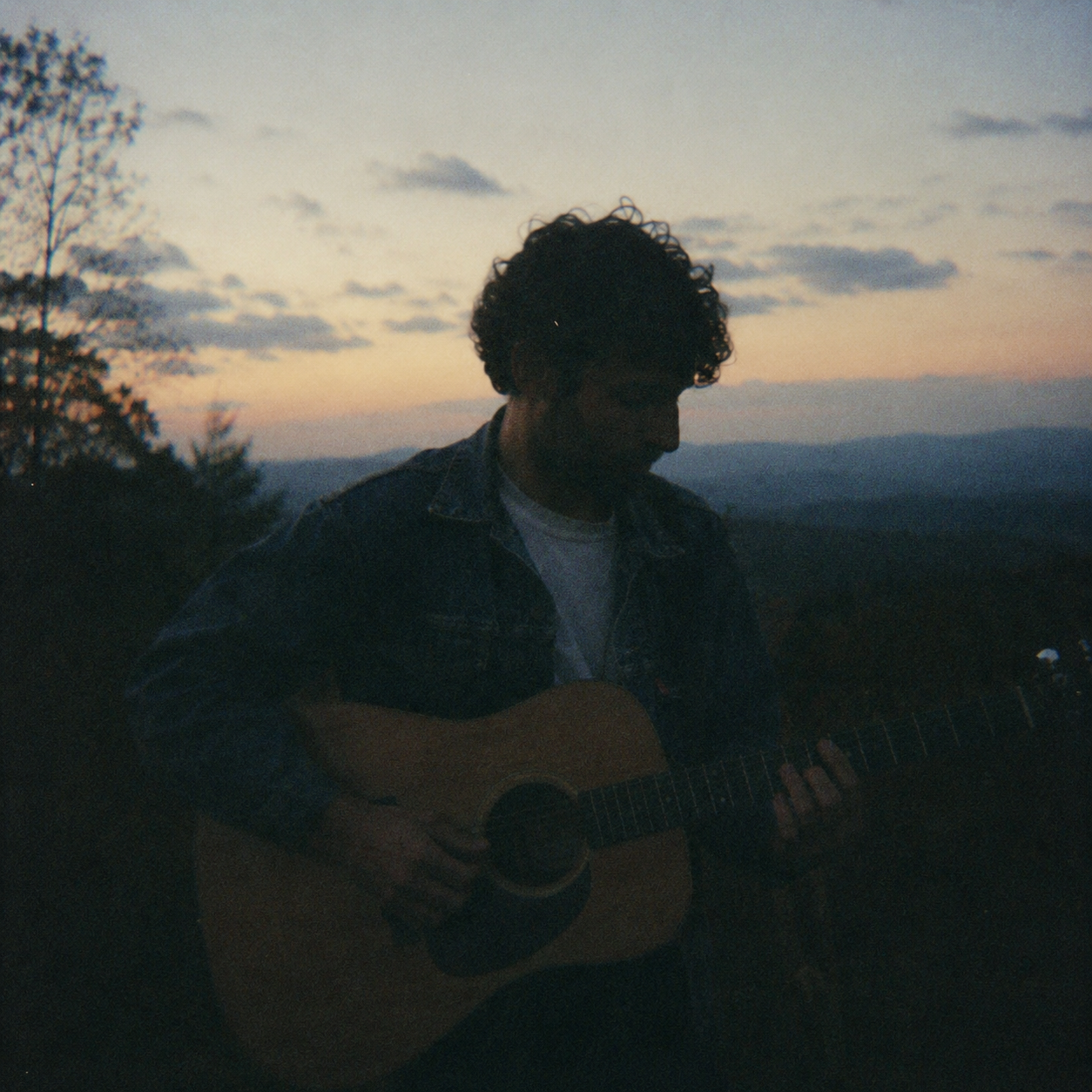 Drew D'Agostino